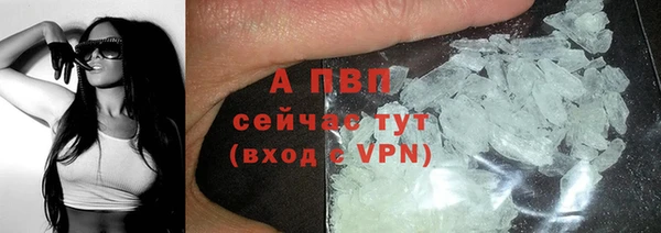 гидра Бронницы