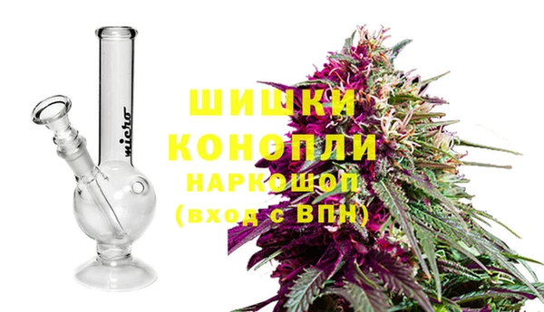 гидра Бронницы