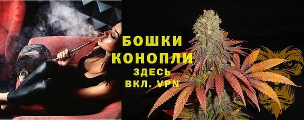 гидра Бронницы