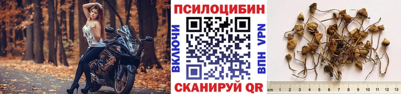 Псилоцибиновые грибы MAGIC MUSHROOMS цена наркотик Бийск